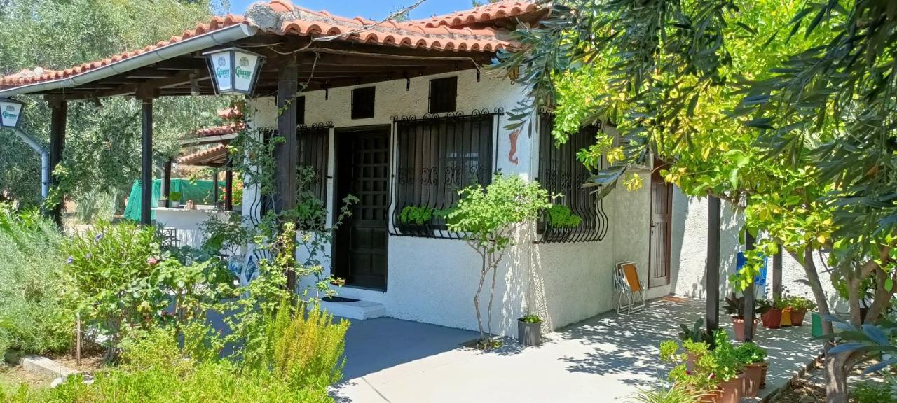 Persefoni House Holiday home *