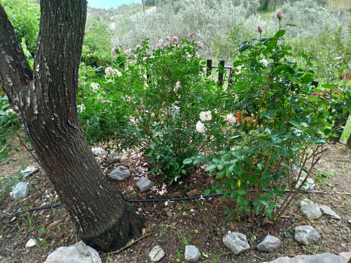 Persefoni House Holiday home